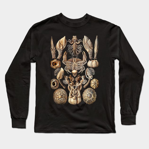 Ernst  Haeckel Cirripedia Crab Natural Long Sleeve T-Shirt by Scientistudio